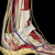 Ankle Anatomy Pictures