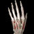 Hand Anatomy Pictures