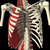 Spine Anatomy Pictures